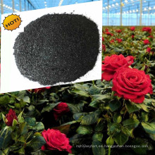 Fertilizante Favorate de Rosas Rojas